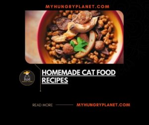 homemade cat food recipes